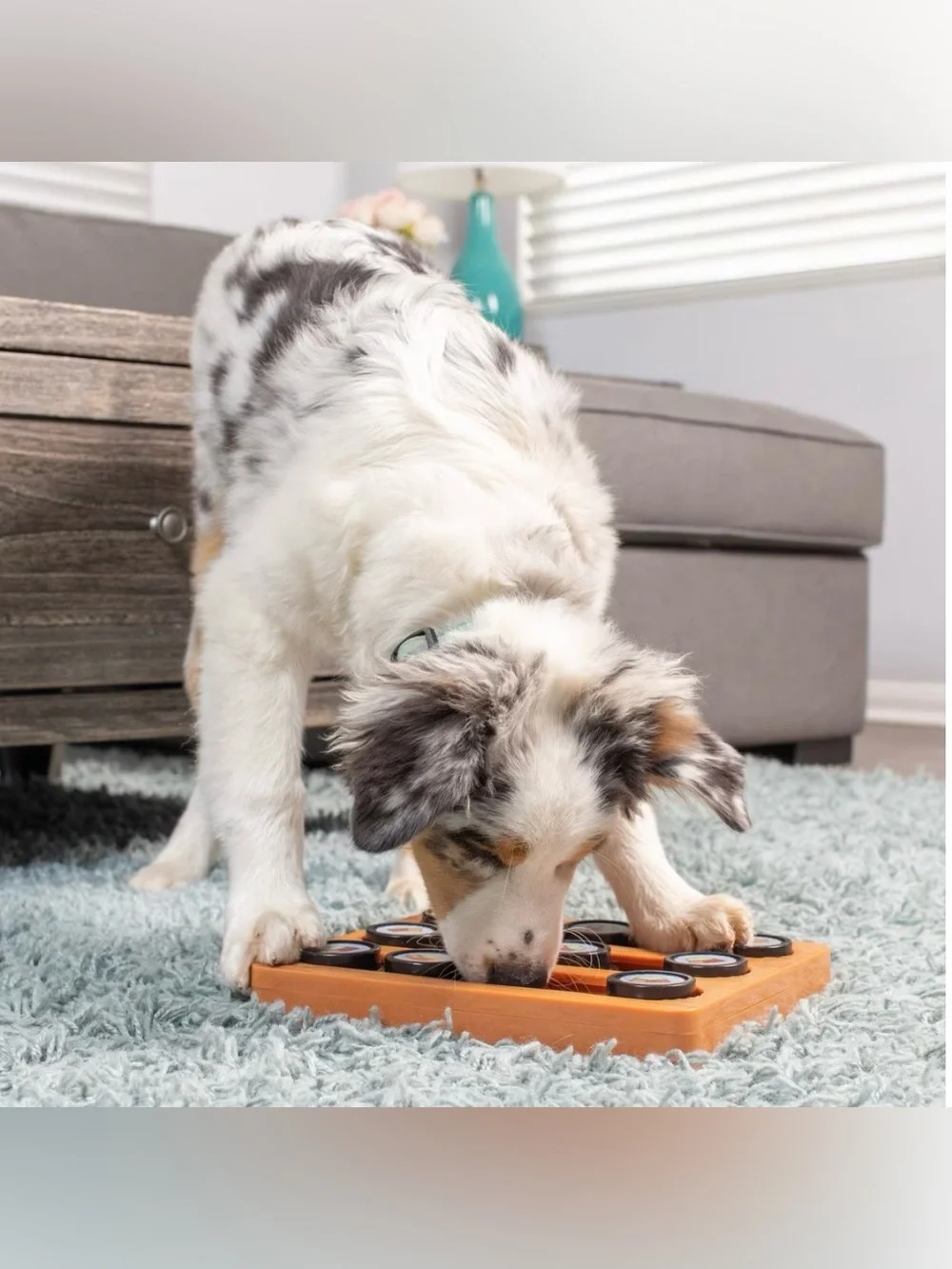 OUR PETS Sushi Treat Dispensing Puzzle Dog & Cat Toy